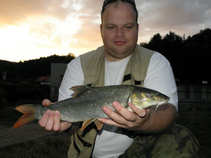 foto/diskuze/z_lovu/2011/th-img44169.jpg