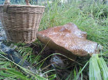 foto/diskuze/z_lovu/2011/th-img44229.jpg