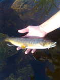 foto/diskuze/z_lovu/2011/th-img44276.jpg