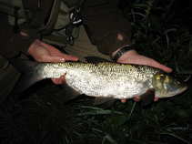 foto/diskuze/z_lovu/2011/th-img44291.jpg