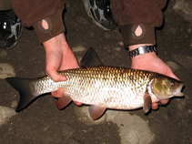 foto/diskuze/z_lovu/2011/th-img44292.jpg