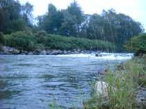 foto/diskuze/z_lovu/2011/th-img44307.jpg