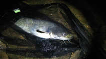 foto/diskuze/z_lovu/2011/th-img44317.jpg