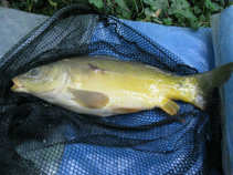 foto/diskuze/z_lovu/2011/th-img44324.jpg