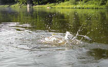 foto/diskuze/z_lovu/2011/th-img44357.jpg