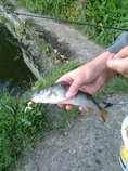 foto/diskuze/z_lovu/2011/th-img44381.jpg