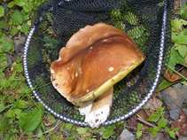 foto/diskuze/z_lovu/2011/th-img44403.jpg