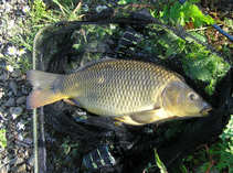 foto/diskuze/z_lovu/2011/th-img44472.jpg