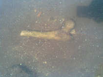 foto/diskuze/z_lovu/2011/th-img44535.jpg