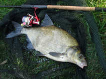 foto/diskuze/z_lovu/2011/th-img44536.jpg