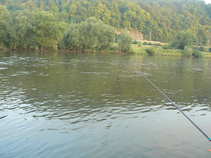 foto/diskuze/z_lovu/2011/th-img44599.jpg