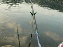 foto/diskuze/z_lovu/2011/th-img44600.jpg
