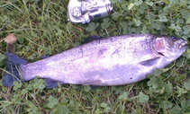 foto/diskuze/z_lovu/2011/th-img44655.jpg