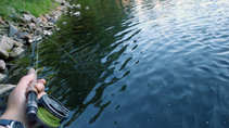foto/diskuze/z_lovu/2011/th-img44666.jpg