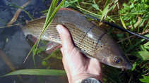 foto/diskuze/z_lovu/2011/th-img44672.jpg