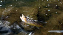 foto/diskuze/z_lovu/2011/th-img44695.jpg
