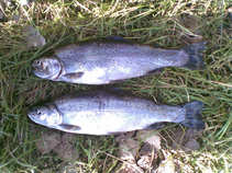 foto/diskuze/z_lovu/2011/th-img44714.jpg