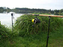 foto/diskuze/z_lovu/2011/th-img44730.jpg