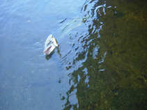 foto/diskuze/z_lovu/2011/th-img44747.jpg