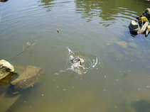 foto/diskuze/z_lovu/2011/th-img44760.jpg