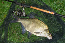foto/diskuze/z_lovu/2011/th-img44766.jpg