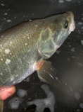 foto/diskuze/z_lovu/2011/th-img44826.jpg