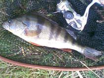 foto/diskuze/z_lovu/2011/th-img44853.jpg