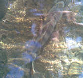 foto/diskuze/z_lovu/2011/th-img44854.jpg