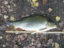 foto/diskuze/z_lovu/2011/th-img44855.jpg
