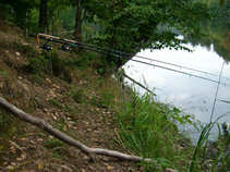 foto/diskuze/z_lovu/2011/th-img44857.jpg