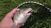 foto/diskuze/z_lovu/2011/th-img44933.jpg