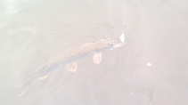 foto/diskuze/z_lovu/2011/th-img44998.jpg