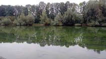 foto/diskuze/z_lovu/2011/th-img45003.jpg