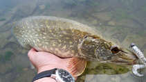 foto/diskuze/z_lovu/2011/th-img45004.jpg