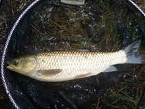 foto/diskuze/z_lovu/2011/th-img45031.jpg
