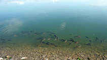 foto/diskuze/z_lovu/2011/th-img45054.jpg