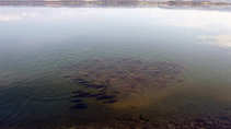 foto/diskuze/z_lovu/2011/th-img45055.jpg
