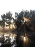 foto/diskuze/z_lovu/2011/th-img45078.jpg