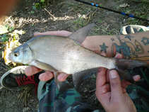 foto/diskuze/z_lovu/2011/th-img45088.jpg