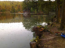 foto/diskuze/z_lovu/2011/th-img45092.jpg