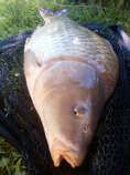 foto/diskuze/z_lovu/2011/th-img45170.jpg