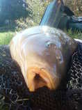 foto/diskuze/z_lovu/2011/th-img45171.jpg