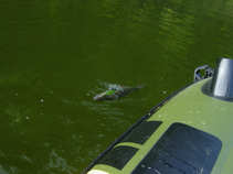 foto/diskuze/z_lovu/2011/th-img45172.jpg