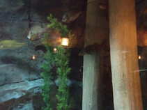 foto/diskuze/z_lovu/2011/th-img45194.jpg