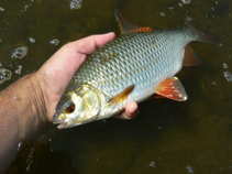 foto/diskuze/z_lovu/2011/th-img45200.jpg