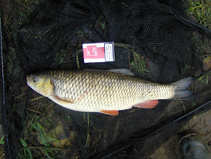 foto/diskuze/z_lovu/2011/th-img45225.jpg