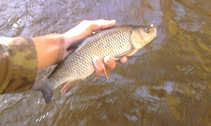 foto/diskuze/z_lovu/2011/th-img45242.jpg