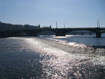foto/diskuze/z_lovu/2011/th-img45244.jpg