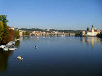 foto/diskuze/z_lovu/2011/th-img45247.jpg