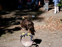 foto/diskuze/z_lovu/2011/th-img45249.jpg